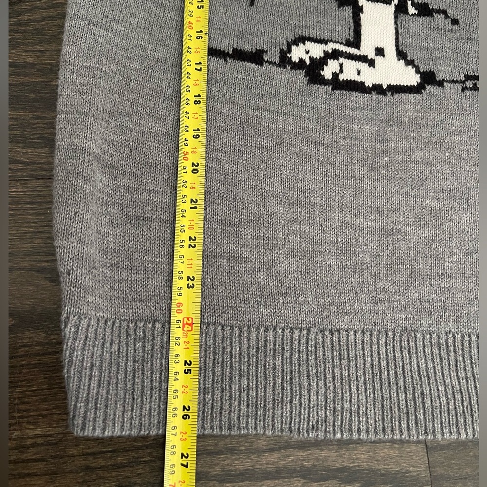 H&M Gray Snoopy Peanuts Knit Sweater - Picture 9 of 13